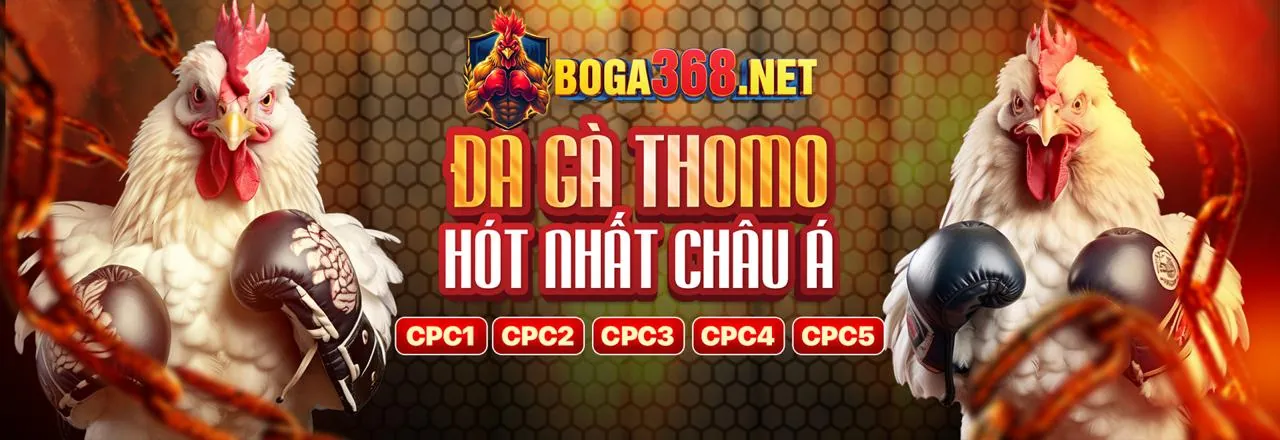 Ứng dụng alo789s trên điện thoại