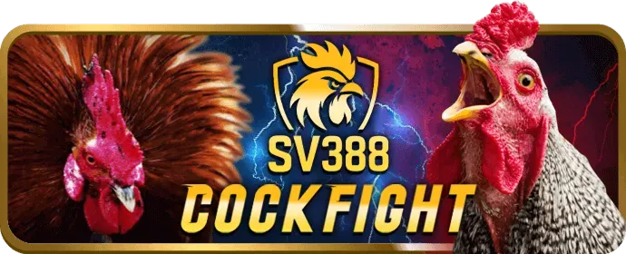 Chương trình VIP cho slot game